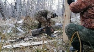 Расщеп осины на самодельные лыжи.