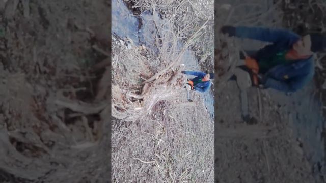 3 hengeres fiat #2 смотреть онлайн