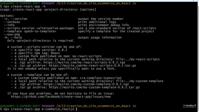 Cours 1 Création du projet Reac Js Avec typeScript | Créez un site E-Commerce en React Js avec Mude смотреть онлайн