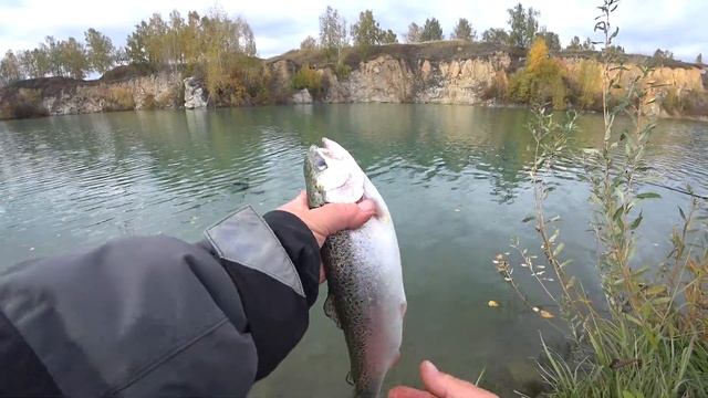 Рыба-Путешественница