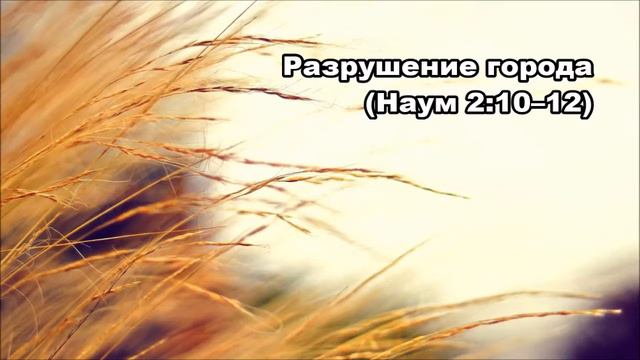 Тихое время с Живой Жизнью: Наум 2:10–13 (19112017) смотреть онлайн