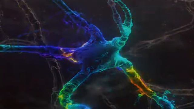 Реальности планетарной Учительской Иерархии и контрактов душ www.zitelizemli.ru смотреть онлайн