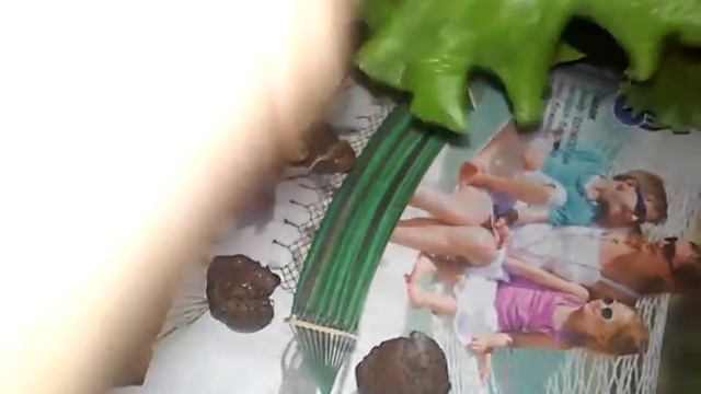 вырастили салат Одесский кучерявец на домашней аквапонике смотреть онлайн