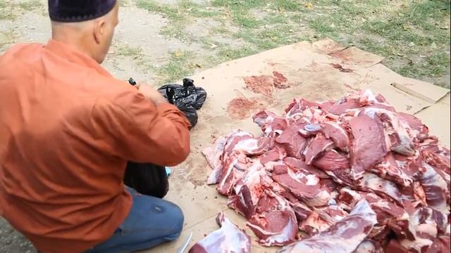 В Гудермесском районе прошел религиозный обряд «саг1а». смотреть онлайн