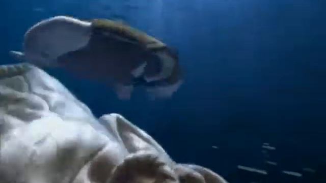 Ariston - Aqualtis Ad