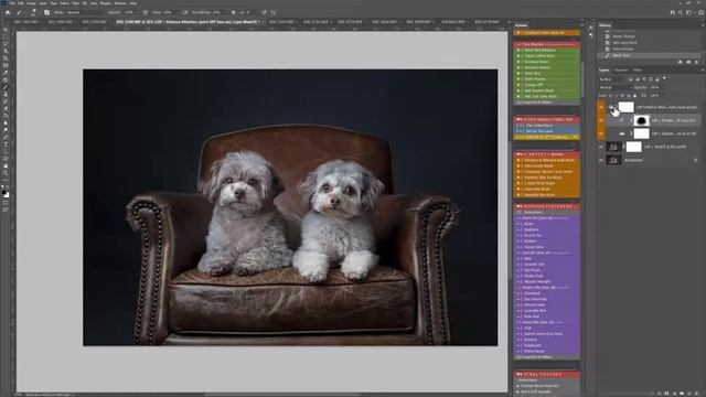 How to get started and use Fur Babies in Photoshop to edit dog portrait смотреть онлайн
