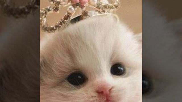 Какие мы клёвые фотки смотреть онлайн