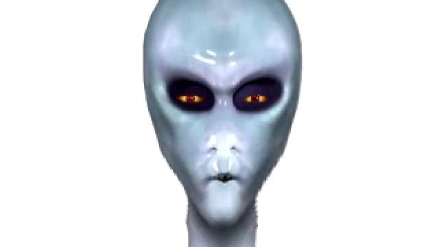 Greetings Human смотреть онлайн