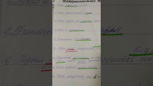 Детерминантные томаты- какие? смотреть онлайн