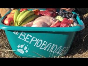 Флэшмоб  #верювлюдей .