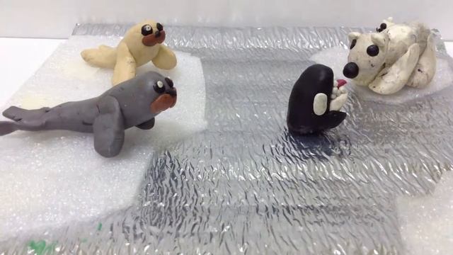 Тюлени и касатка смотреть онлайн