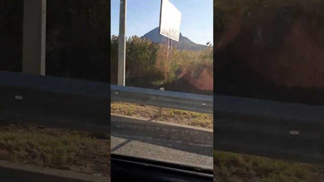 поет сын наших друзей Пятигорск смотреть онлайн