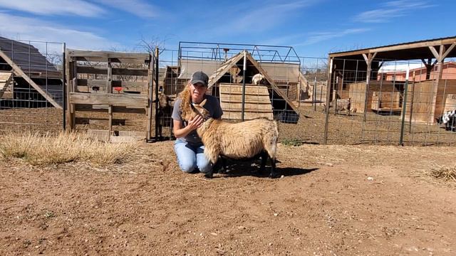 Exciting Things Are Happening In Arizona & Arkansas!! смотреть онлайн