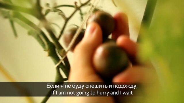 Долгожданный осенний урожай | The long awaited autumn harvest смотреть онлайн