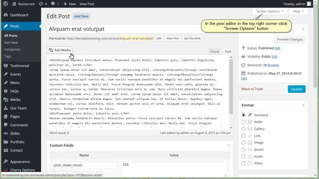WordPress. How To Enable Formatting In Excerpt смотреть онлайн