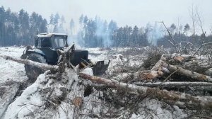 Мтз 82 расчистка завалов на делянке