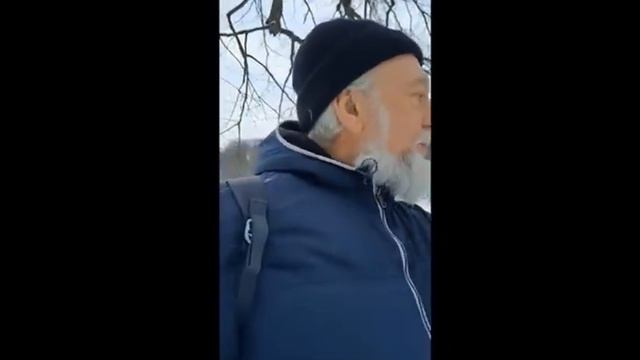 Белка Стрелка смотреть онлайн