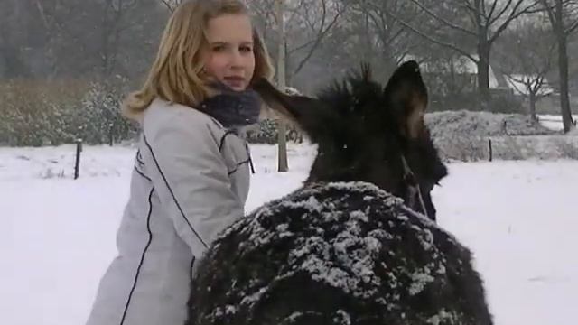 Snowworld. смотреть онлайн