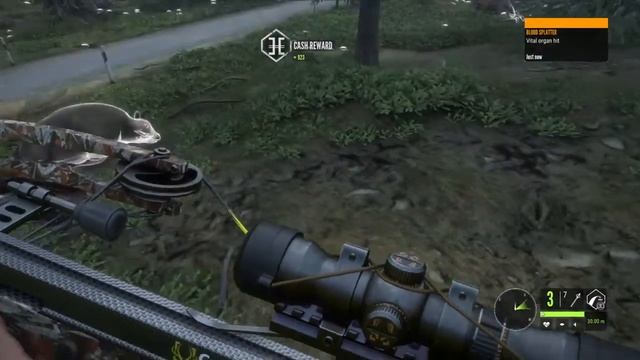 Hunter call of the wild European Bison hunt with game error [] смотреть онлайн