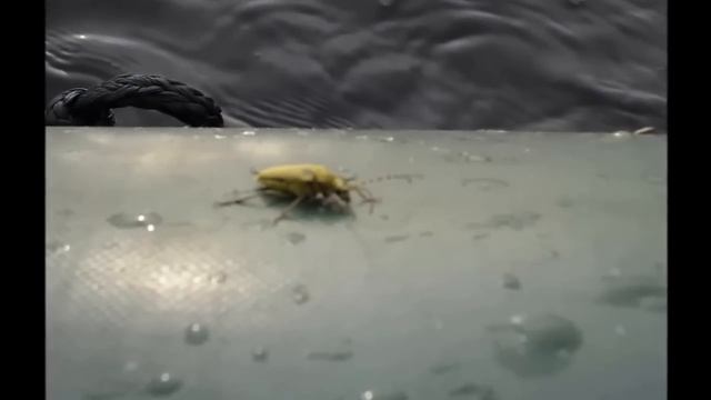 Рыбалка "На выживание" ХМАО-Югра смотреть онлайн