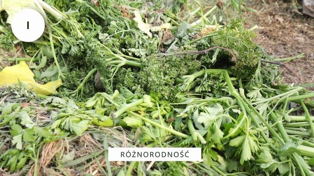 Jak kompostować? Wszystko co musisz wiedzieć o kompoście w 3 minuty! смотреть онлайн