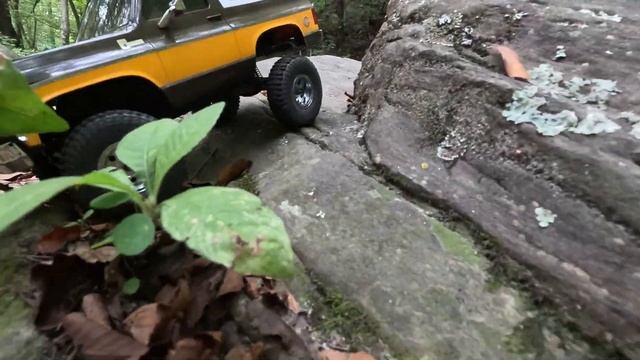 Traxxas TRX4M Vs FMS FCX24