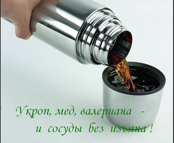 Укроп, мёд, валериана и сосуды без изъяна смотреть онлайн