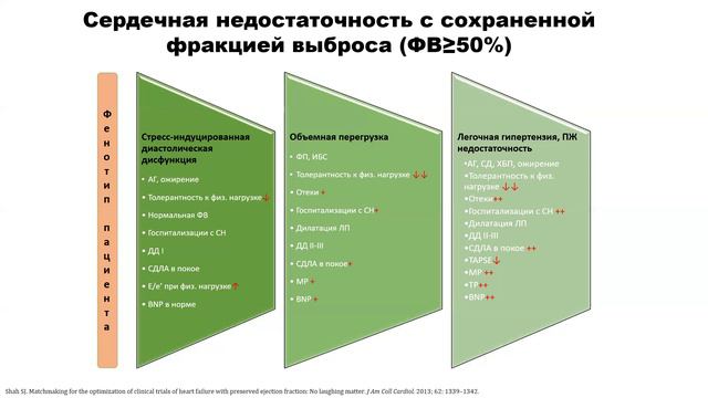 ГиП занятие 8 - диастолический стресс-тест