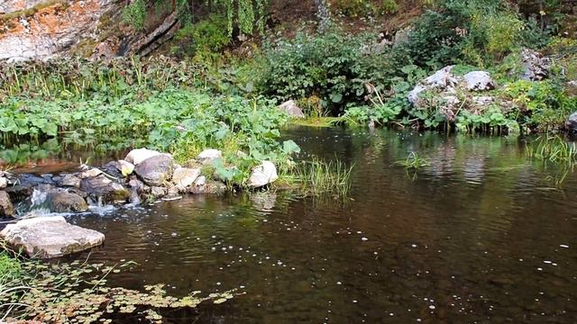Река Каменка у Белых Камней возле д. Новый Завод
