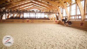 Боковые движения лошади. Выездка. Совершенствование техники управления лошадью.