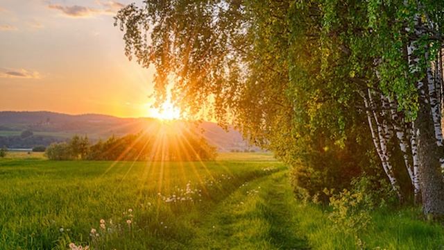 Пробуждение. ВЛадиМир Чиж. #стих#стихи#познание смотреть онлайн