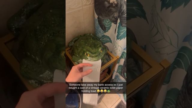 лягушка туалетная бумага