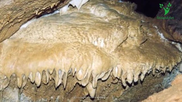 Лучший шампунь от выпадения и для роста волос .Как восстановить волосы?! смотреть онлайн