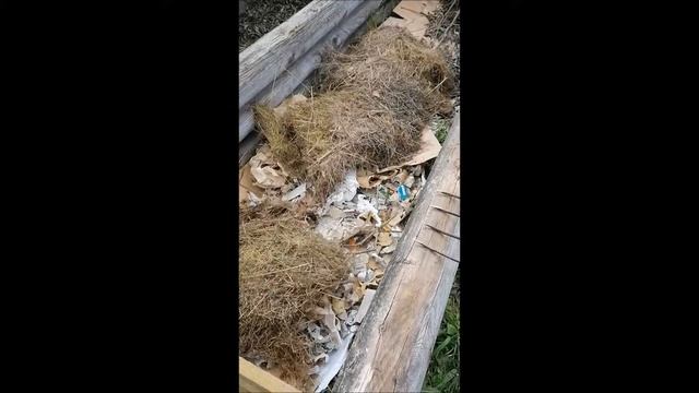 ГОТОВИМ НОВЫЕ ГРЯДКИ смотреть онлайн