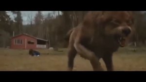 Безумно можно быть первым мем