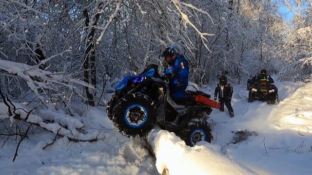 Ренегад в лесу не едет! Катка в Мороз!