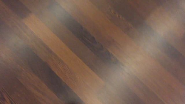 Бигль Бадди 2 месяца смотреть онлайн