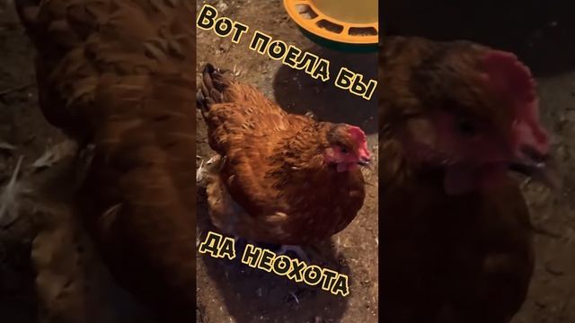 Лето кончилось.На улицу не ходим. Скукота... смотреть онлайн
