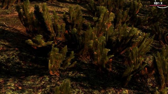 Battlefield 5 – PC 4K Ultra vs. Xbox One X Graphics Comparison смотреть онлайн