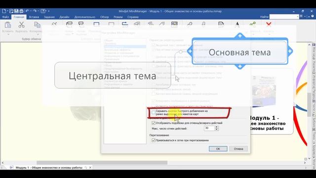 Модуль 1 блок 3: Обзор настроек программы MindManager смотреть онлайн