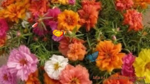 Зеленые проекты