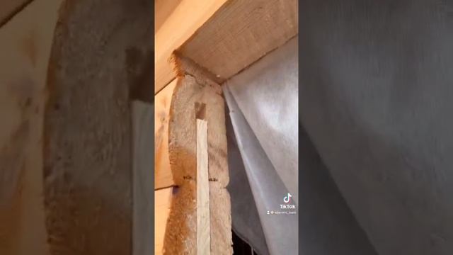 РОЙКИ ВХОДНОЙ ДВЕРИ в готовых банях! #shorts смотреть онлайн