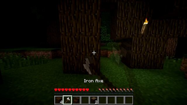 Minecraft Blocks & Items: Dark Oak смотреть онлайн