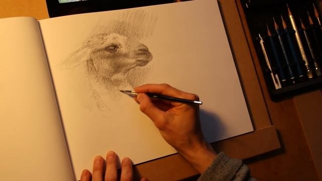 The SECRET to improving your artwork - Sketchendeavour Week 1 смотреть онлайн