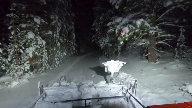 Nordic ski trail grooming ASMR, Night time driving in a snowcat through the woods смотреть онлайн