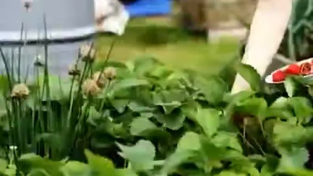 Диета 7 дней, как похудеть, кефирная диета