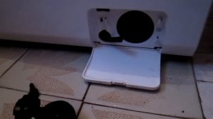 Не отжимает стиральная машина