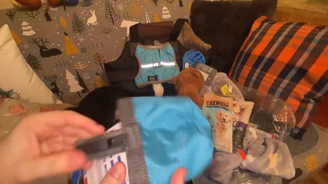Распаковка товаров для собак. Подарки 🎁 на дни рождения Миши и Эвы. смотреть онлайн
