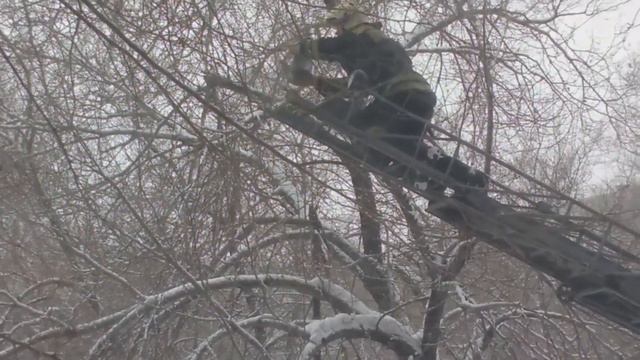 Пожарные в Саяногорске спасли голубя смотреть онлайн
