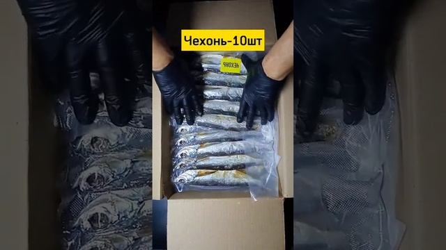 Посылка с Астраханской рыбкой Ссылки в шапке канала? #вобла #лещ #чехонь #густера #минск #кпиву